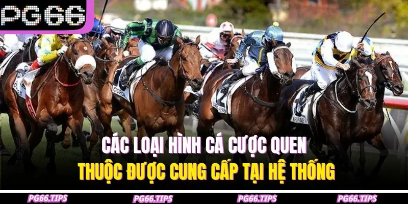 Các loại hình cá cược quen thuộc được cung cấp tại hệ thống