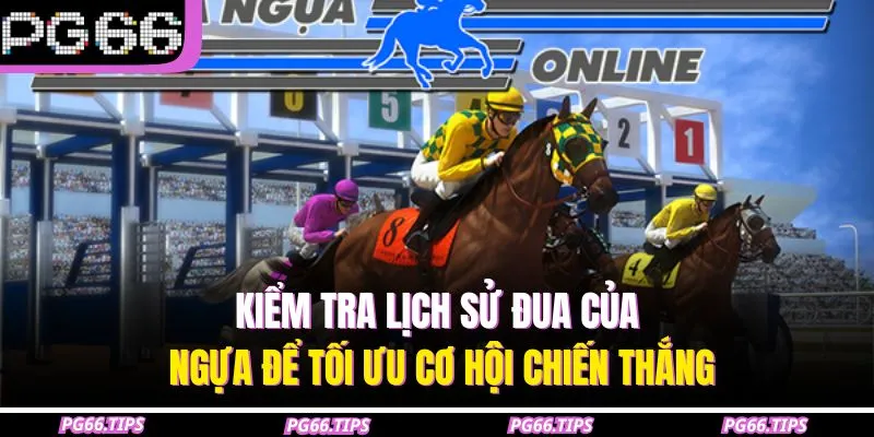 Kiểm tra lịch sử đua của ngựa để tối ưu cơ hội chiến thắng
